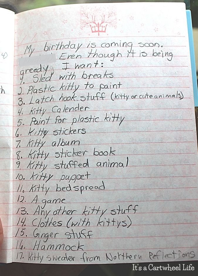 birthday list of cat items